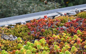 the cost of Bonnykelly green roof installation