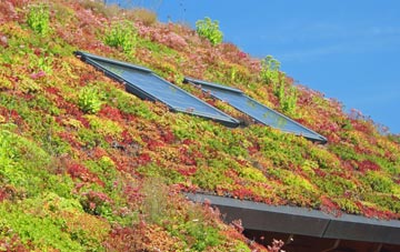 Bonnykelly living roof systems