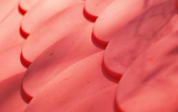 Bonnykelly plastic roof costs