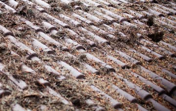 Bonnykelly roof cleaning companies