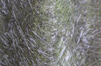 Bonnykelly fibreglass roof work